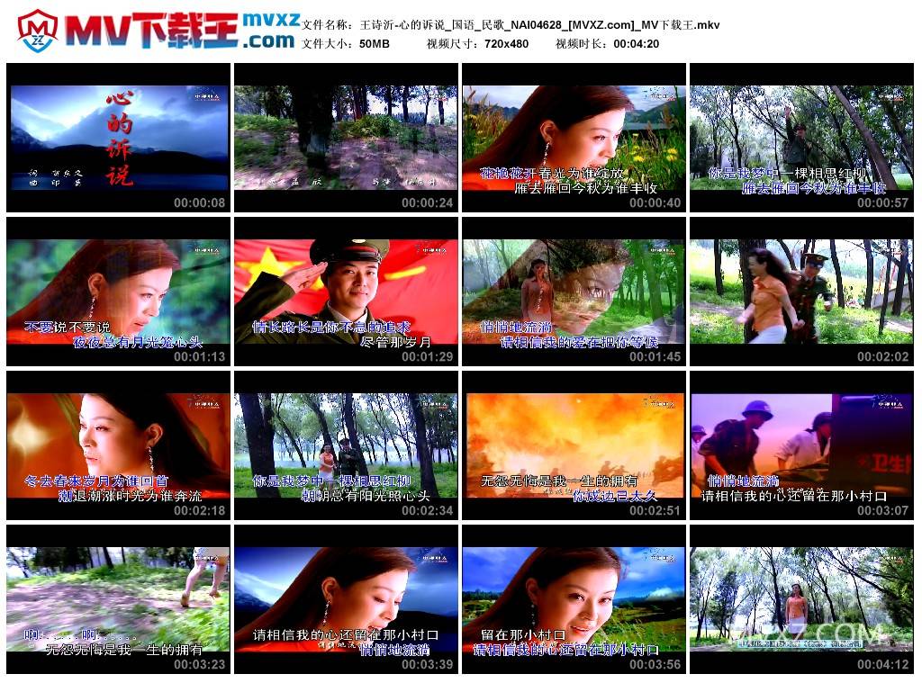 王诗沂-心的诉说_国语_民歌_NAI04628